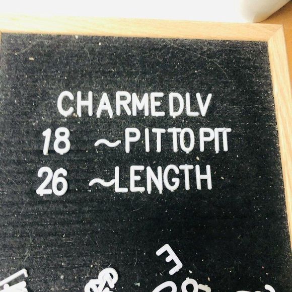 Six Flags Magic Mountain Black Jail Coaster Tshirt - Picture 6 of 10